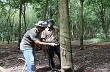 Giá cao su giảm, tiểu điền chới với
